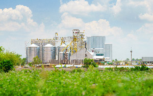 Sementeiras e fertilizantes